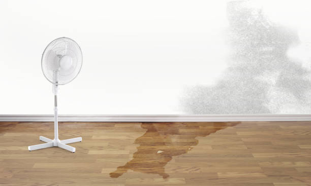 Best Ceiling water damage repair  in Hebbronville, TX