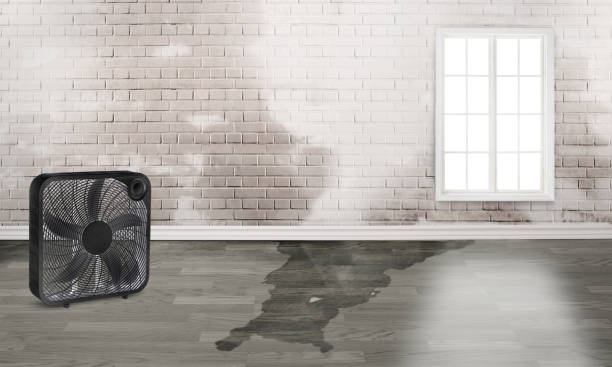 Water damage restoration mold remediation in Hebbronville, TX