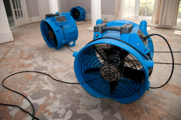 Best Basement water damage restoration  in Hebbronville, TX