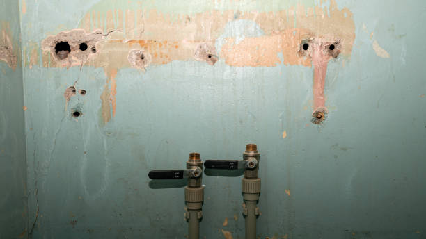 Best Water damage contractors near me  in Hebbronville, TX
