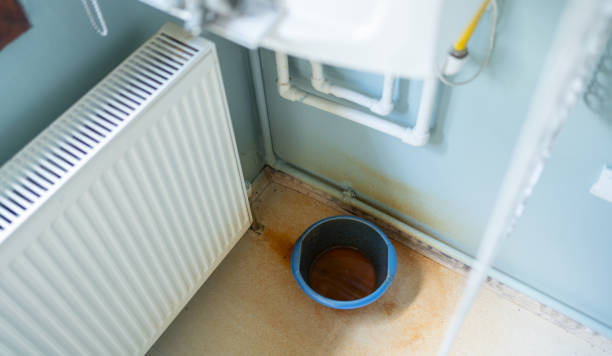 Best Sewage cleanup and water damage restoration  in Hebbronville, TX