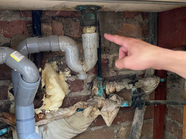 Best 24/7 water damage repair  in Hebbronville, TX