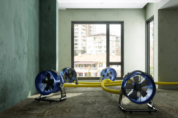 Fire Damage Restoration in Hebbronville, TX